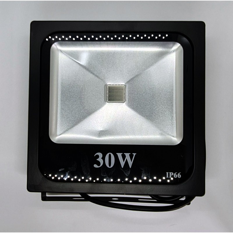 12v 30w on sale led floodlight