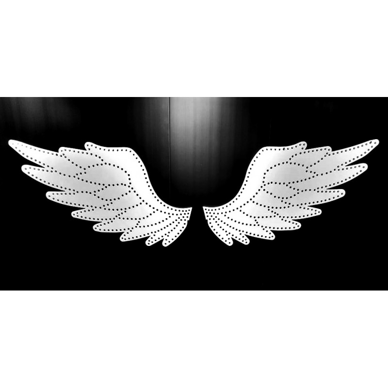 Frankies Angel Wings | Build A Light Show Coro