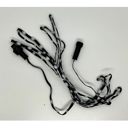 4 Wire Seed Pixel Strings 100ct with pigtails - 25mm spacing - black | 12v