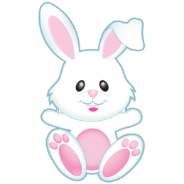 GSkinz for Rabbit