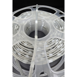 18awg Seeds | Clear | 50mm spacing | By the metre | 12v | Seed Pixels