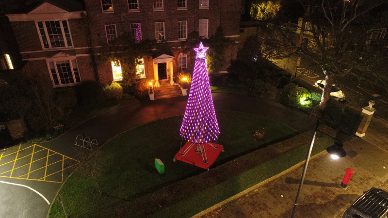 Trinity Hospice Clapham Tree